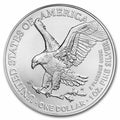 2025 American Silver Eagle Coin ( 1 Troy Ounce)