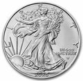 2025 American Silver Eagle Coin ( 1 Troy Ounce)