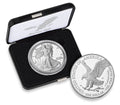 2025 American Silver Eagle Coin ( 1 Troy Ounce)