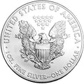 2016 American Silver Eagle Coin ( 1 Troy Ounce)