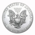 2020 American Silver Eagle Coin ( 1 Troy Ounce)