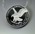 2023 American Silver Eagle Coin ( 1 Troy Ounce)